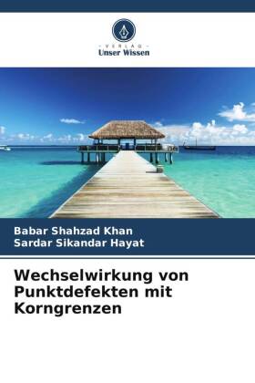 Wechselwirkung von Punktdefekten mit Korngrenzen