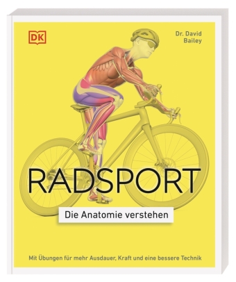 Radsport - die Anatomie verstehen
