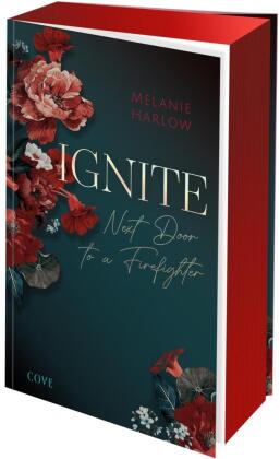 Ignite (New Beginnings at Cloverleigh Farms 1)