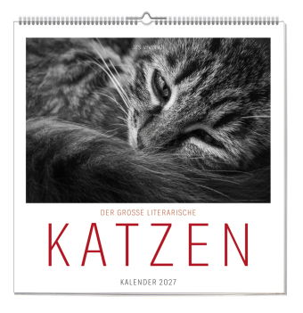 Der grosse literarische Katzen Kalender 2027