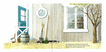 Kasimir pflanzt weiße Bohnen