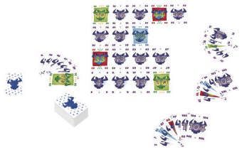Sechs nimmt! (Kartenspiel)
