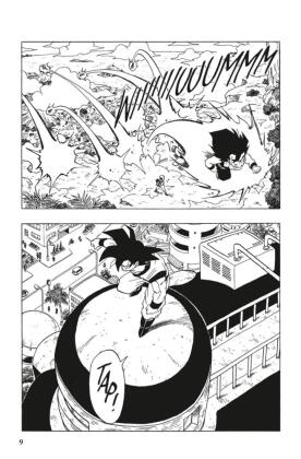 Dragon Ball 29