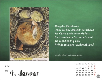 Bastian Sick Tagesabreißkalender 2027