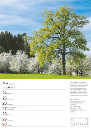 Bäume Wochenplaner 2027 - 53 stimmungsvolle Fotografien
