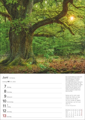 Bäume Wochenplaner 2027 - 53 stimmungsvolle Fotografien