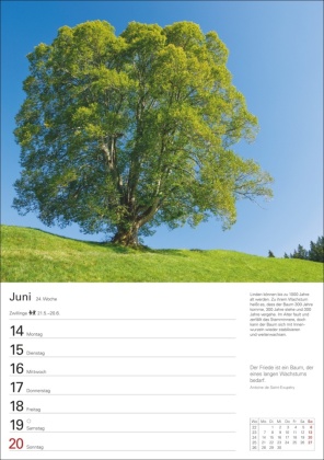 Bäume Wochenplaner 2027 - 53 stimmungsvolle Fotografien