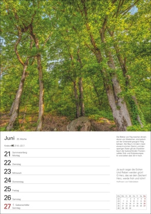 Bäume Wochenplaner 2027 - 53 stimmungsvolle Fotografien