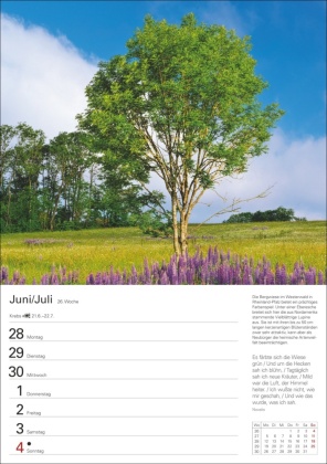 Bäume Wochenplaner 2027 - 53 stimmungsvolle Fotografien