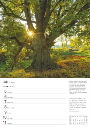 Bäume Wochenplaner 2027 - 53 stimmungsvolle Fotografien