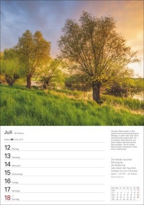 Bäume Wochenplaner 2027 - 53 stimmungsvolle Fotografien