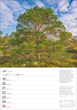 Bäume Wochenplaner 2027 - 53 stimmungsvolle Fotografien