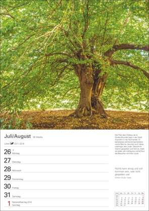 Bäume Wochenplaner 2027 - 53 stimmungsvolle Fotografien