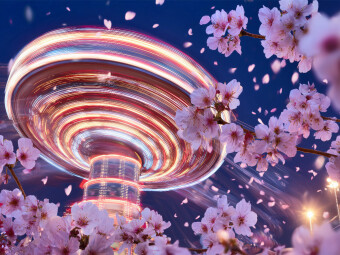 CALVENDO Puzzle Blüten tanzen im Wind, während Lichtspuren den Frühling in Bewegung malen | 1000 Teile Lege-Größe 64x48cm Foto-Puzzle für glückliche Stunden
