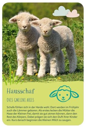Die 100 süßesten Tierbabys