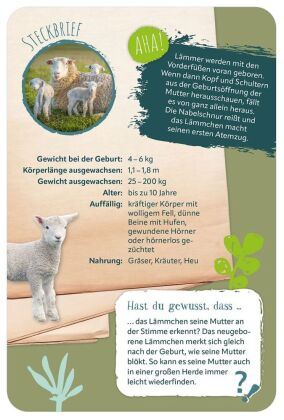 Die 100 süßesten Tierbabys