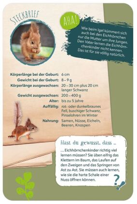 Die 100 süßesten Tierbabys
