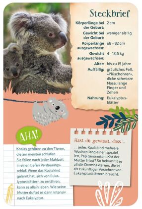 Die 100 süßesten Tierbabys