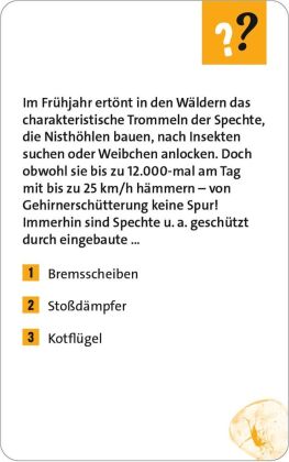 Alltagsrätsel