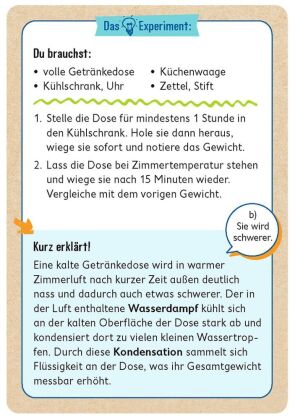 PhänoMINT 75 supercoole Schätz-Experimente für zu Hause
