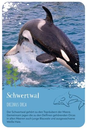 Die 100 schönsten Tiere der Welt