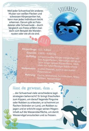 Die 100 schönsten Tiere der Welt