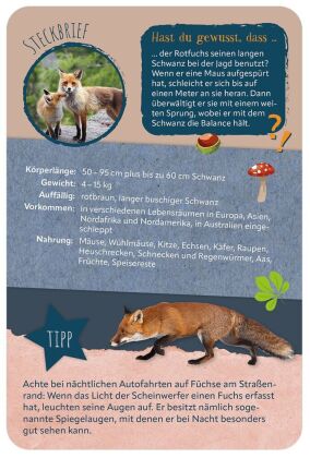 Die 100 schönsten Tiere der Welt