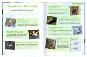 Erforsche die Vögel - Ihr Leben rund ums Jahr