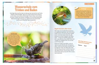 Erforsche die Vögel - Ihr Leben rund ums Jahr