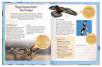 Erforsche die Vögel - Ihr Leben rund ums Jahr