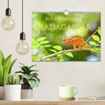 Blickpunkte auf Madagaskar (Wandkalender 2027 DIN A4 quer), CALVENDO Monatskalender