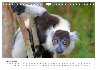 Blickpunkte auf Madagaskar (Wandkalender 2027 DIN A4 quer), CALVENDO Monatskalender