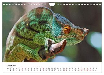 Blickpunkte auf Madagaskar (Wandkalender 2027 DIN A4 quer), CALVENDO Monatskalender