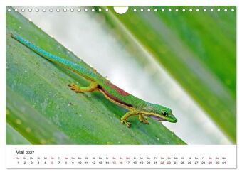 Blickpunkte auf Madagaskar (Wandkalender 2027 DIN A4 quer), CALVENDO Monatskalender