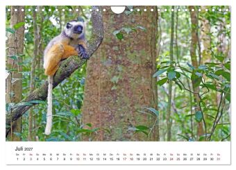 Blickpunkte auf Madagaskar (Wandkalender 2027 DIN A4 quer), CALVENDO Monatskalender
