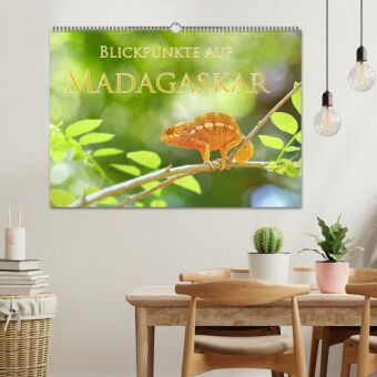 Blickpunkte auf Madagaskar (Wandkalender 2027 DIN A2 quer), CALVENDO Monatskalender