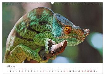 Blickpunkte auf Madagaskar (Wandkalender 2027 DIN A2 quer), CALVENDO Monatskalender