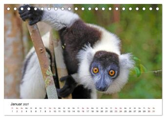 Blickpunkte auf Madagaskar (Tischkalender 2027 DIN A5 quer), CALVENDO Monatskalender