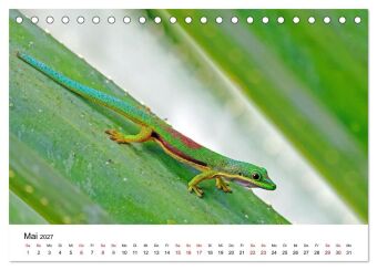 Blickpunkte auf Madagaskar (Tischkalender 2027 DIN A5 quer), CALVENDO Monatskalender