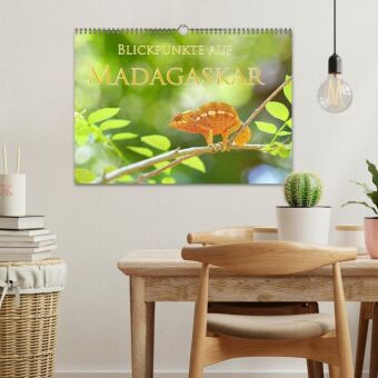 Blickpunkte auf Madagaskar (Wandkalender 2027 DIN A3 quer), CALVENDO Monatskalender