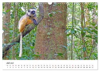 Blickpunkte auf Madagaskar (Wandkalender 2027 DIN A3 quer), CALVENDO Monatskalender