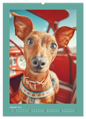 Mini-Pinscher. Kleine Hunde in schönen Momenten (Wandkalender 2027 DIN A2 hoch), CALVENDO Monatskalender