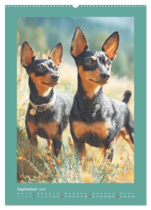 Mini-Pinscher. Kleine Hunde in schönen Momenten (Wandkalender 2027 DIN A2 hoch), CALVENDO Monatskalender