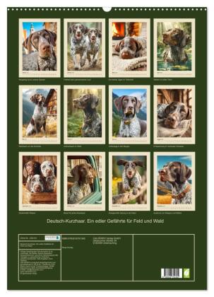 Deutsch-Kurzhaar. Ein edler Gefährte für Feld und Wald (Wandkalender 2027 DIN A2 hoch), CALVENDO Monatskalender