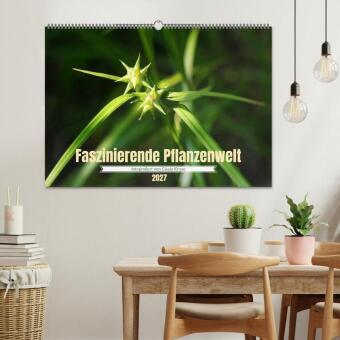 Faszinierende Pflanzenwelt (Wandkalender 2027 DIN A2 quer), CALVENDO Monatskalender