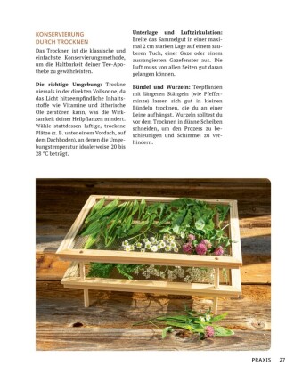 Die Tee-Apotheke