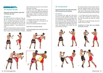 Thaiboxen - Profitechniken und Kampftraining: Muay-Thai, Kickboxen. und MMA-Techniken, Selbstverteidigung, Vollkontakt-Standkampf, Fitness & Training
