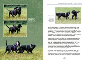 Das Hundesprachbuch - Motivation verstehen, Sozialkompetenz fördern & Begegnungen meistern - der Hundepsychologie-Ratgeber