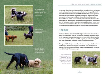 Das Hundesprachbuch - Motivation verstehen, Sozialkompetenz fördern & Begegnungen meistern - der Hundepsychologie-Ratgeber
