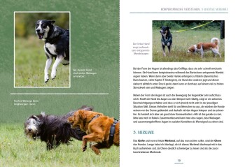 Das Hundesprachbuch - Motivation verstehen, Sozialkompetenz fördern & Begegnungen meistern - der Hundepsychologie-Ratgeber